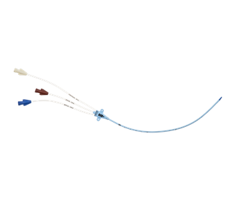 Catheter TMTT Arrow 3 nhánh, có phủ thuốc trong và ngoài catheter, kim Raulerson
